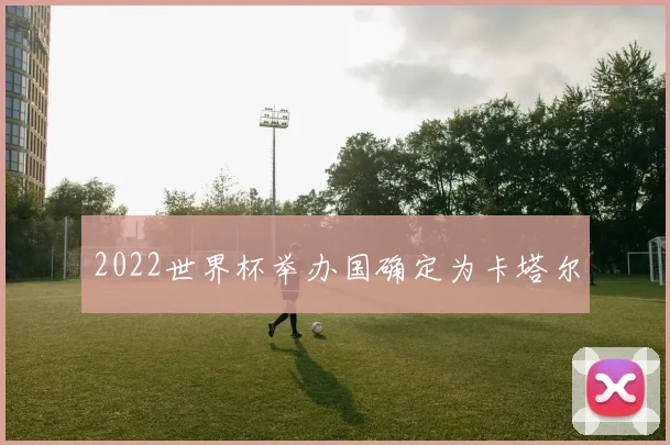 2022世界杯举办国确定为卡塔尔