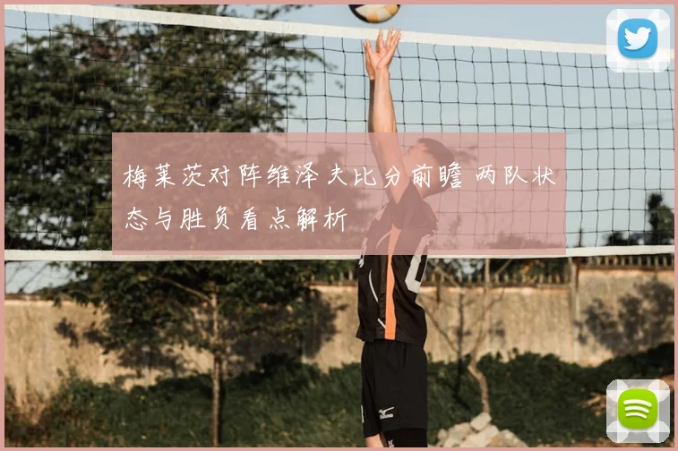 梅莱茨对阵维泽夫比分前瞻 两队状态与胜负看点解析