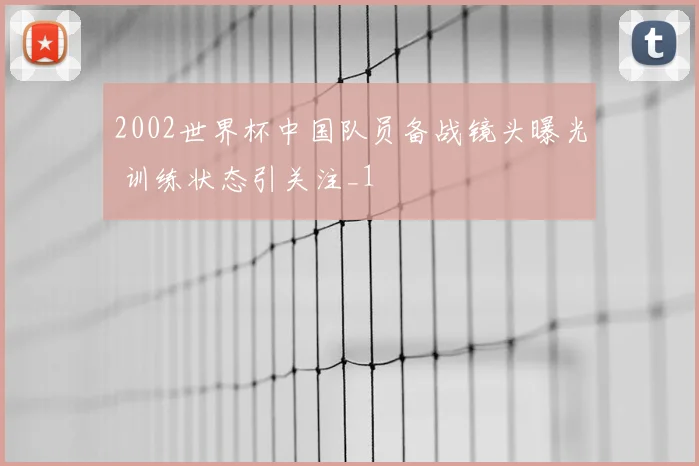 2002世界杯中国队员备战镜头曝光 训练状态引关注_1