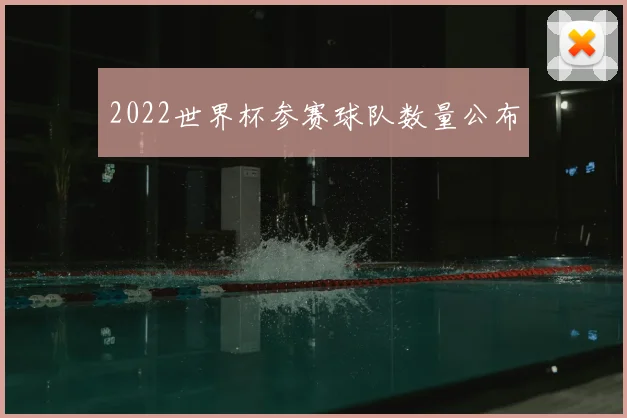 2022世界杯参赛球队数量公布