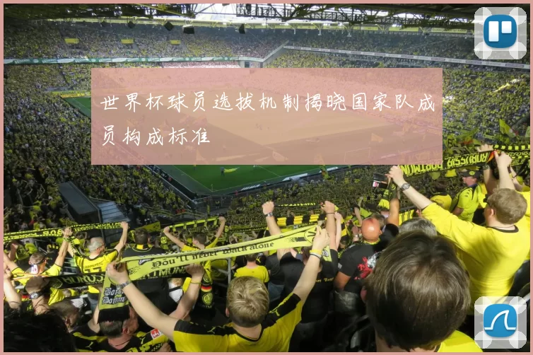 世界杯球员选拔机制揭晓国家队成员构成标准